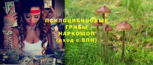герыч Бородино