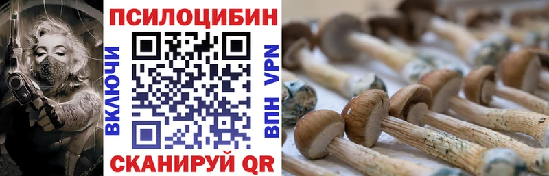 купить   Кашира  Галлюциногенные грибы ЛСД 